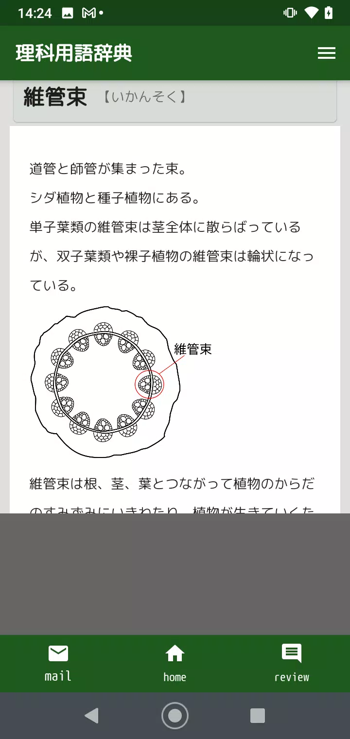 中学理科用語辞典安卓下载 安卓版apk 免费下载