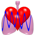 CardioRespiratory Monitor Free