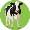 Agriculture Terms  (Farming)