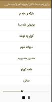 رزازی/مرضیه/خالقی/عزیزشاهرخ/سیدعلی اصغر/شوان پرور Screenshot 3