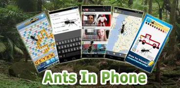 Ants in Phone