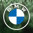 BMW Golf Cup 아이콘
