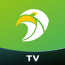 Scooper Video APK