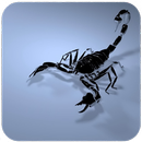 Scorpion HD Wallpaper aplikacja