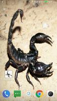 Scorpion HD Wallpaper ảnh chụp màn hình 1