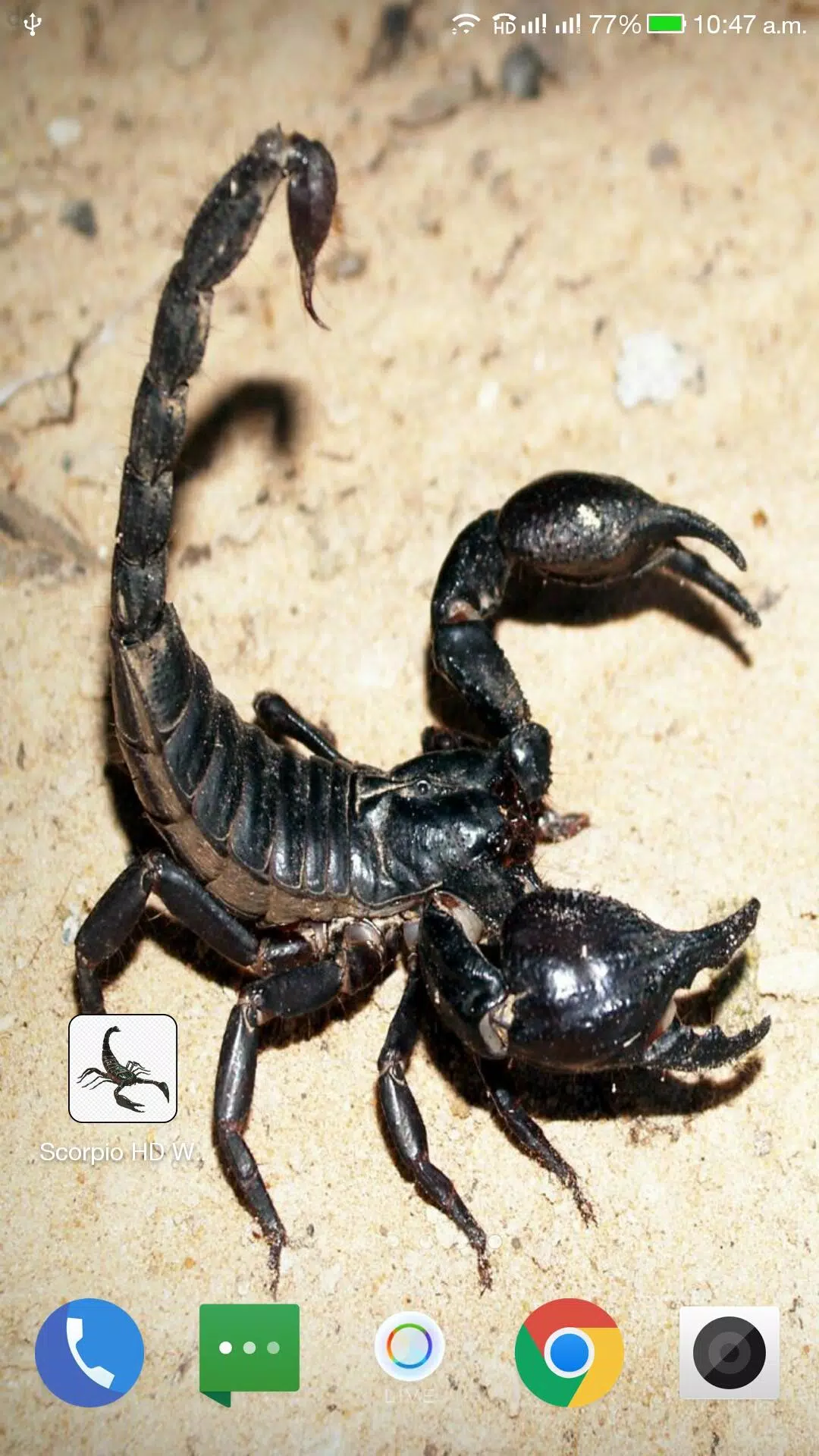Scorpion HD Wallpaper APK for Android Download Scorpion HD Wallpaper APK for Android Download