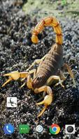 Scorpion HD Wallpaper ảnh chụp màn hình 2