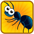 Ant Killer & Smasher
