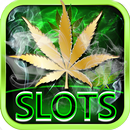 Lucky Weed - Gratis slots-APK