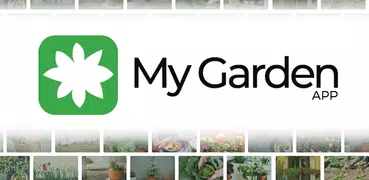 My Garden: Inspiration To Grow