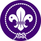 Somos Scout icon