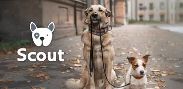 Scout for Dog Walkers