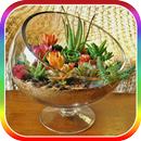 100+ Succulent mini gardens APK