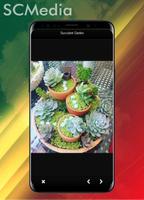 100+ mini-jardins succulents capture d'écran 2