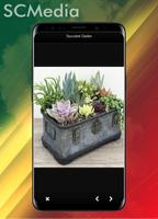 100+ mini-jardins succulents capture d'écran 3