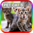 آیکون‌ Jenis Kucing Peliharaan