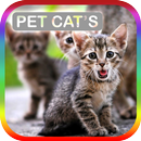 Jenis Kucing Peliharaan APK