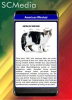 برنامه‌نما Jenis Kucing Peliharaan عکس از صفحه