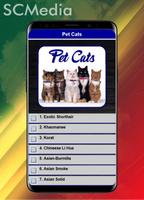 پوستر Jenis Kucing Peliharaan