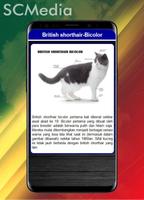 برنامه‌نما Jenis Kucing Peliharaan عکس از صفحه