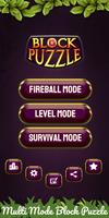 Block Puzzle : Fireball Plakat