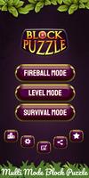 Block Puzzle : Fireball Cartaz