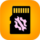 Repair SD Card APK