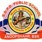SDPD Public School icône