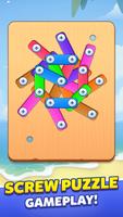 Screw Puzzle: Bolts Game โปสเตอร์