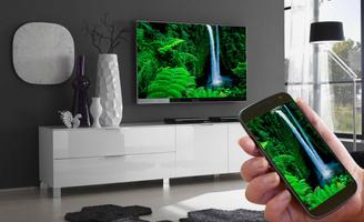 Screen Mirroring screenshot 2