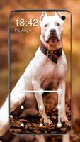 Pitbull Dog Screen Lock screenshot 2