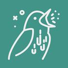 BirdWeather icono