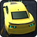 Rac Simulator