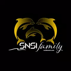 MySNSI