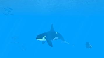 VR Ocean Aquarium imagem de tela 1
