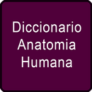 APK Diccionario Anatomia Humana