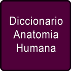 Diccionario Anatomia Humana آئیکن
