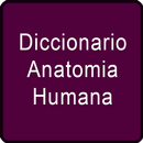 Diccionario Anatomia Humana APK