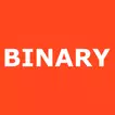 Binary Text Translator