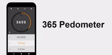365 Pedometer