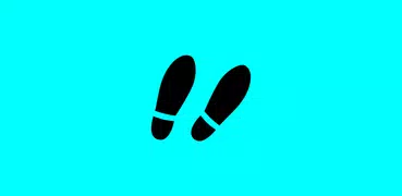 Pedometer