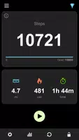 Pedometer ảnh chụp màn hình 2