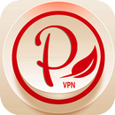 vpn fast siphon tips APK