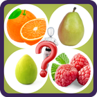 Fruits - Vegetables Quiz icône