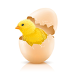 Smart Egg Incubator ( Nepal )