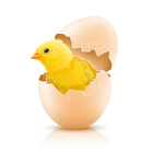 Smart Egg Incubator ( Nepal ) icône