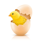 Smart Egg Incubator ( Nepal ) Zeichen