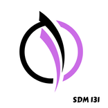 SDM 131