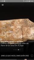 SC Museo de Altamira الملصق
