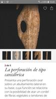 SC Museo de Altamira تصوير الشاشة 2